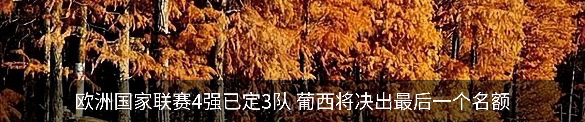 行业资讯
